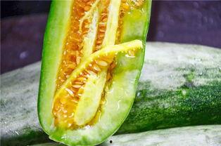 吃瓜最近网红是谁,揭秘近期吃瓜界新宠  第3张